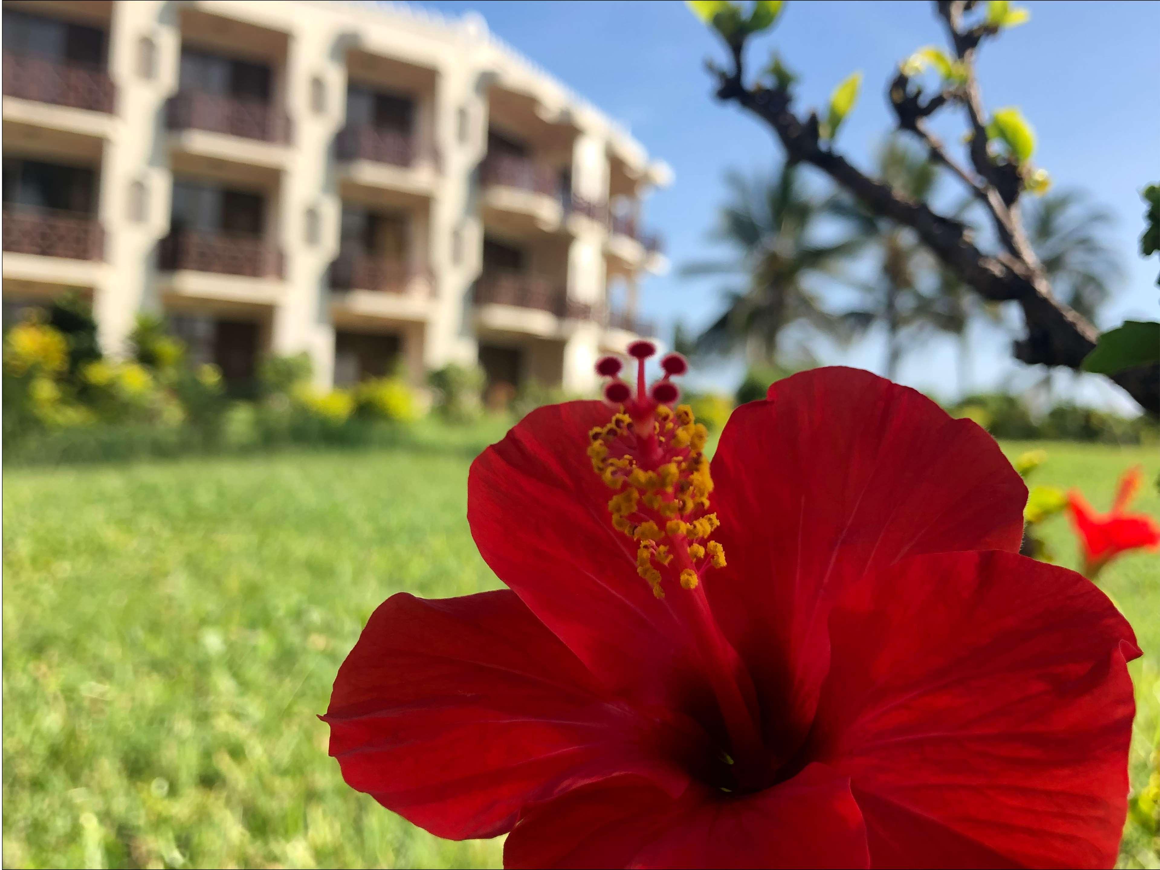 Golden Tulip Dar Es Salaam Ξενοδοχείο Εξωτερικό φωτογραφία